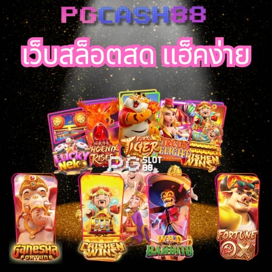 เว็บแพนด้า555